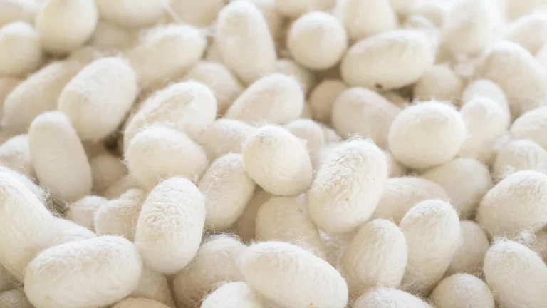 Mulberry silk fabric banner