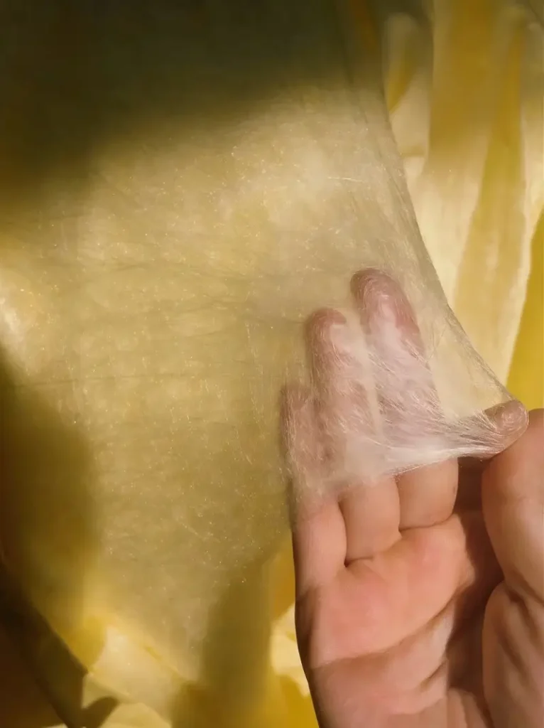 Mulberry Silk